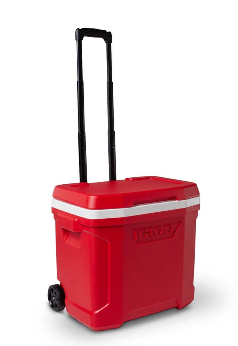 Igloo Profile II 28 Qt Roller Hard Cooler - Shop Hard-sided Coolers at Trekaline