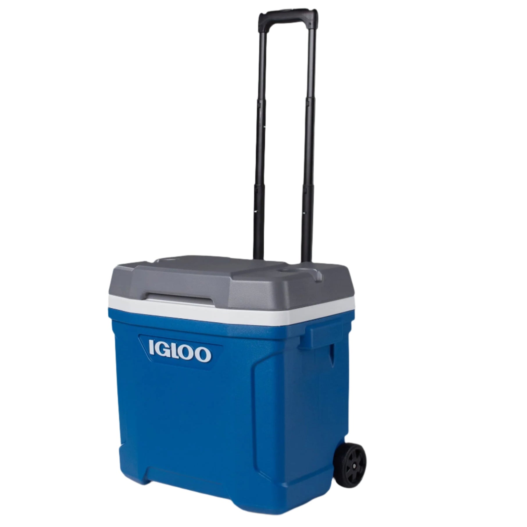 Igloo Latitude Roller Cooler 30 Quart - Shop Hard-sided Coolers at Trekaline