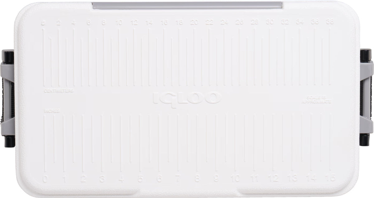 Igloo Latitude Marine Ultra Hard Cooler Box 25 Quart - Shop Hard-sided Coolers at Trekaline
