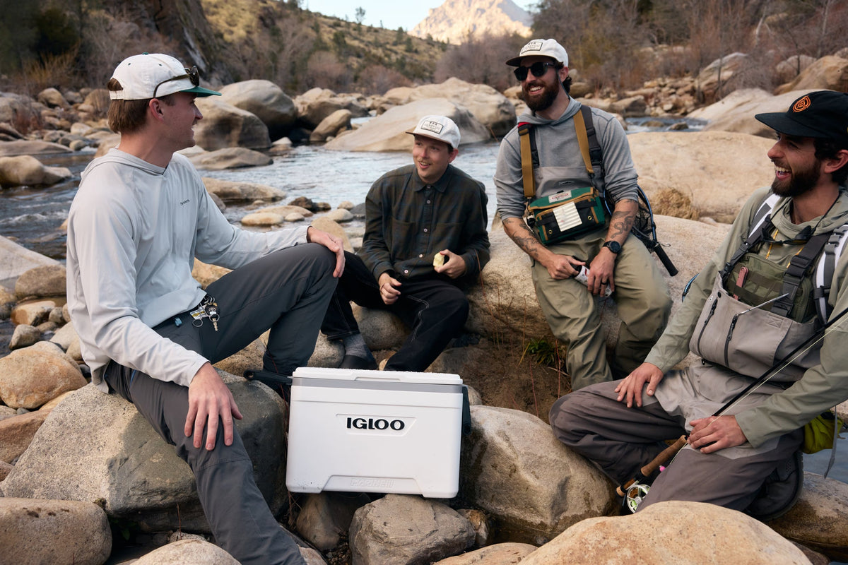 Igloo Latitude Marine Ultra Hard Cooler Box 25 Quart - Shop Hard-sided Coolers at Trekaline