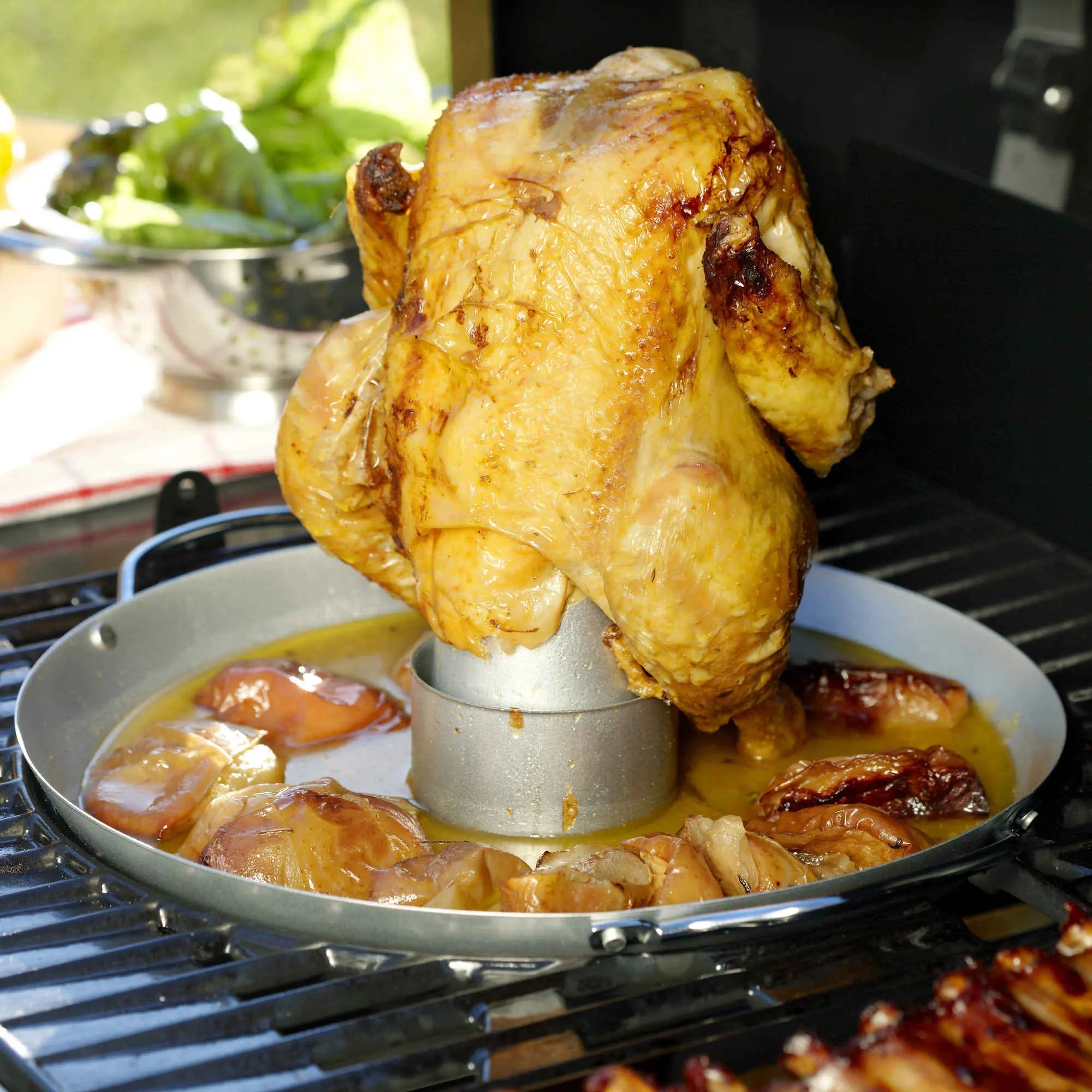Campingaz Culinary Modular Poultry Roaster - Shop Cookware Accessories at Trekaline