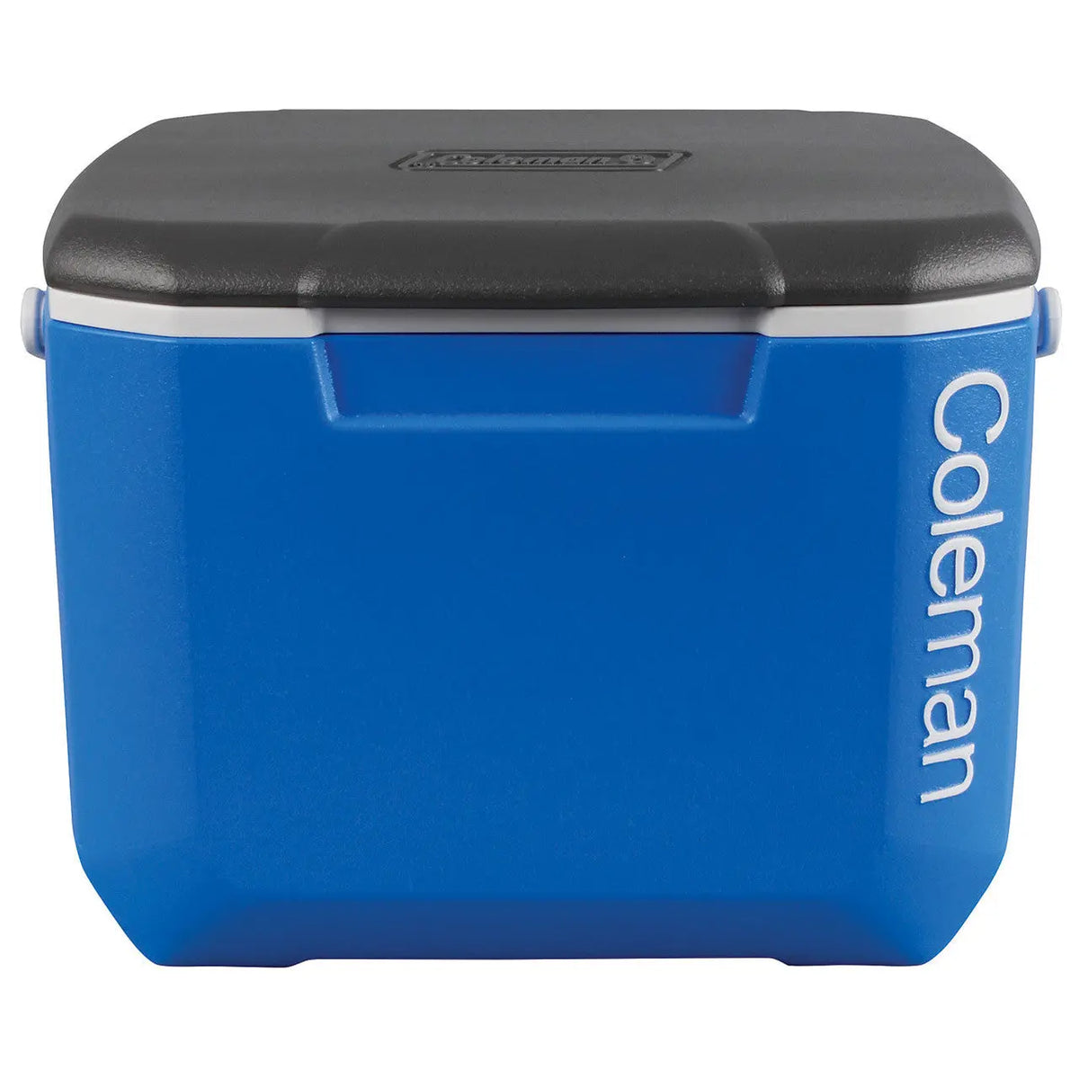 Coleman Performance Icebox Cooler 15L - Shop Hard-sided Coolers at Trekaline