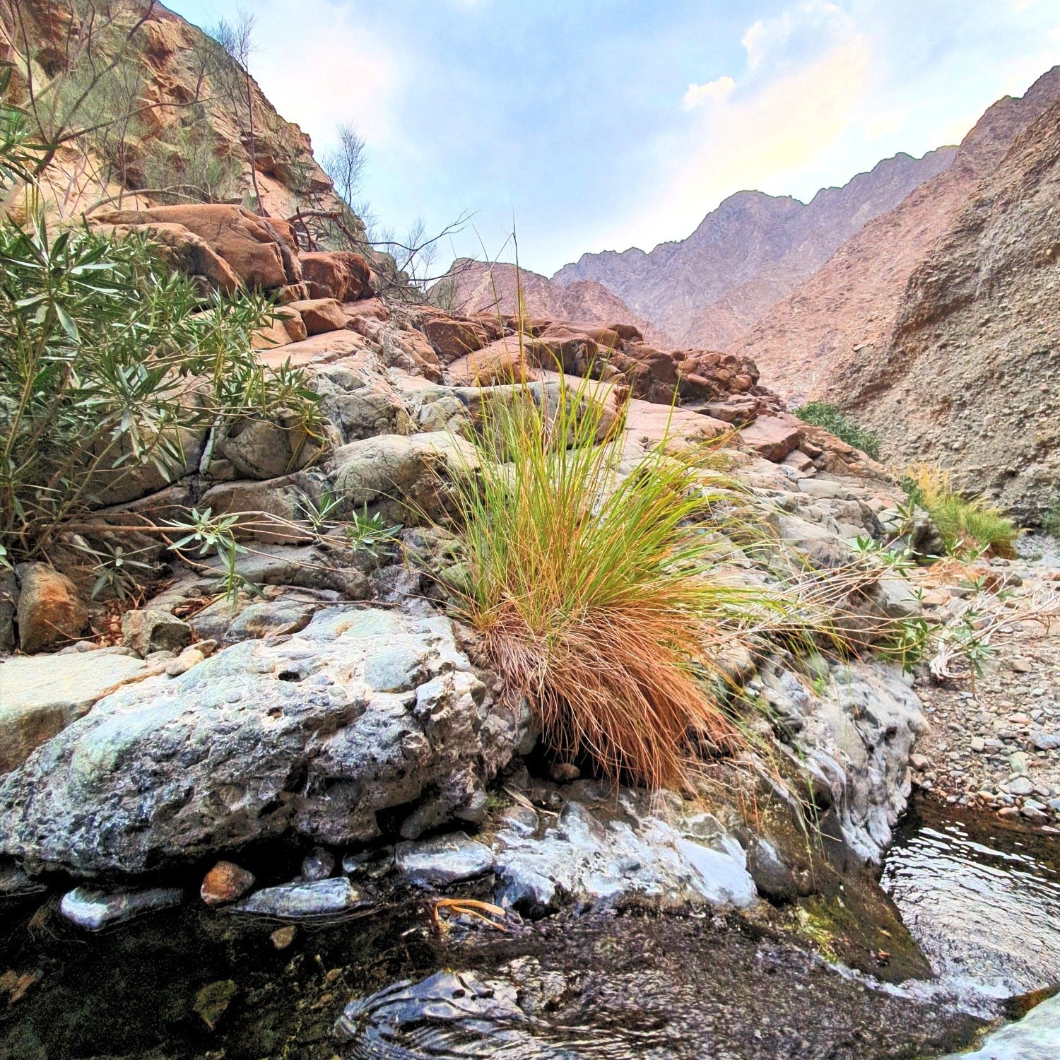 A natural rocky canyon landscape with a small stream, rocks, sparse green and tan vegetation, and a blue sky with light clouds.