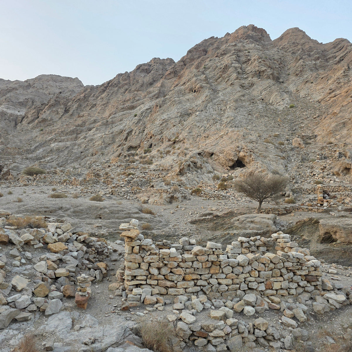 A rocky desert landscape with a large tan and brown mountain slope behind a foreground of pale stones and dry brush under a pale blue sky.