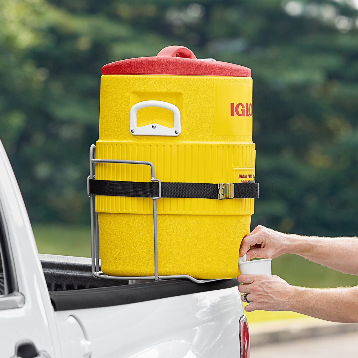 Igloo Wire Truck Rack for 10 Gallon Water Jug - Shop Cooler Accessories at Trekaline