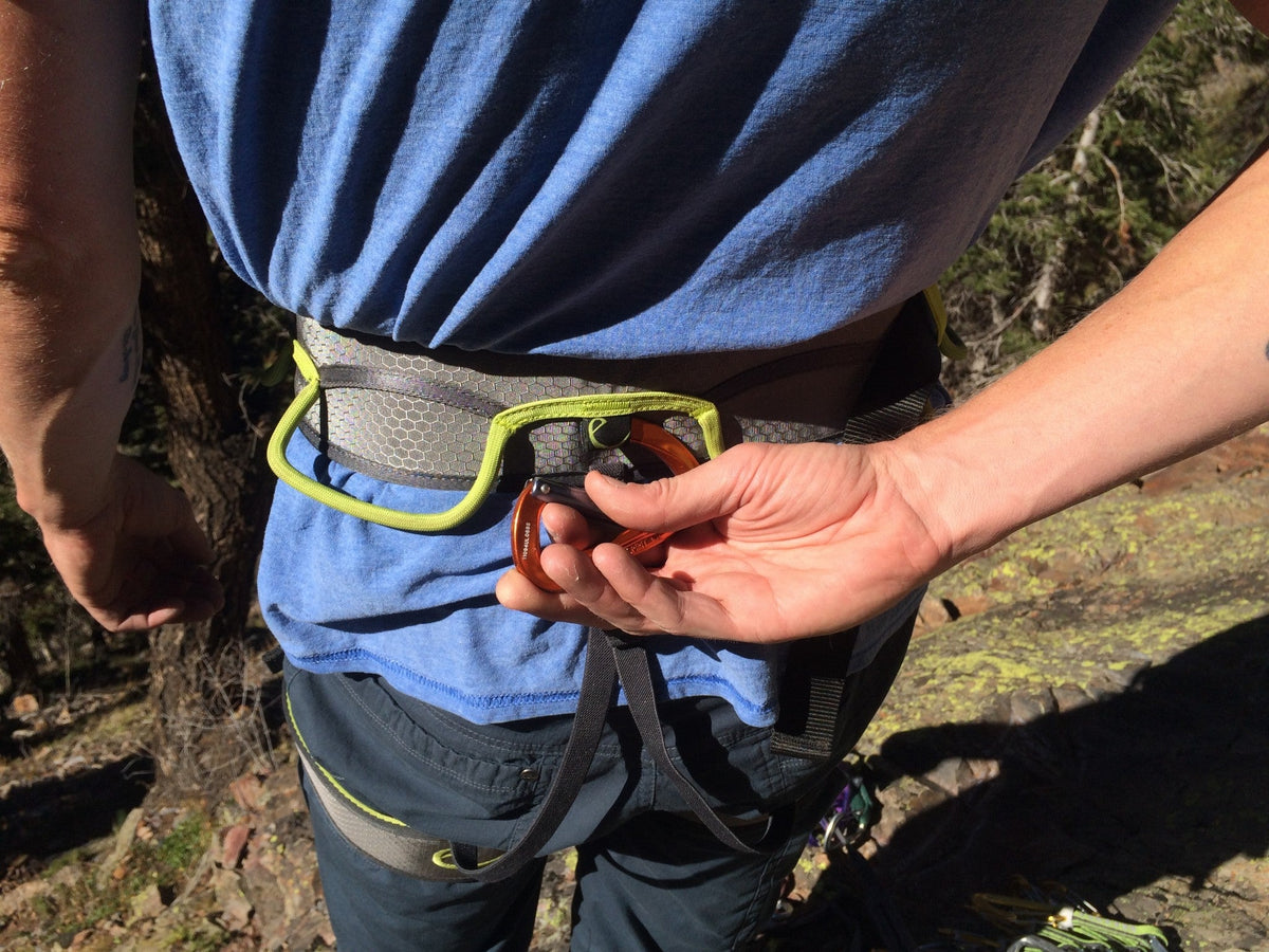 Edelrid Zack Gym Climbing Sit Harness - Shop Climbing Harnesses at Trekaline
