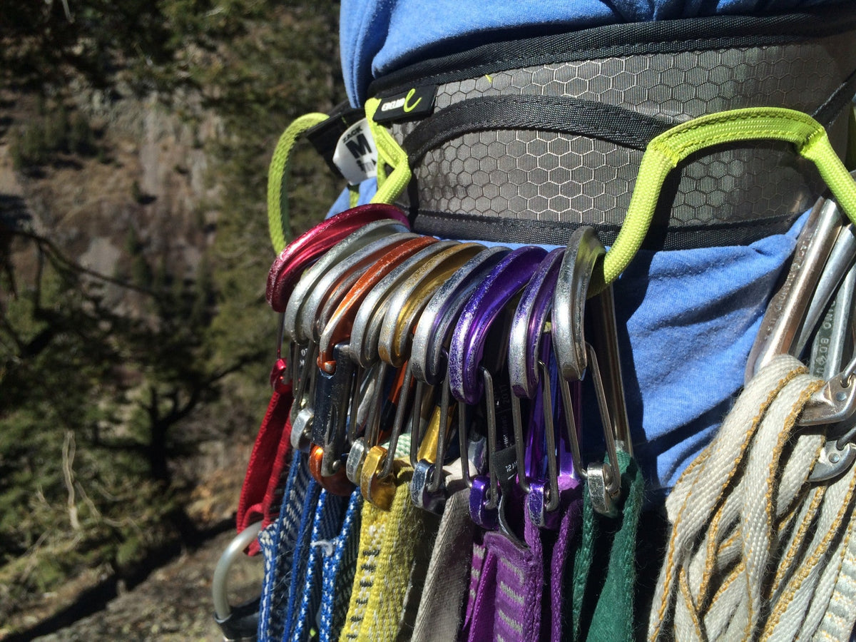 Edelrid Zack Gym Climbing Sit Harness - Shop Climbing Harnesses at Trekaline