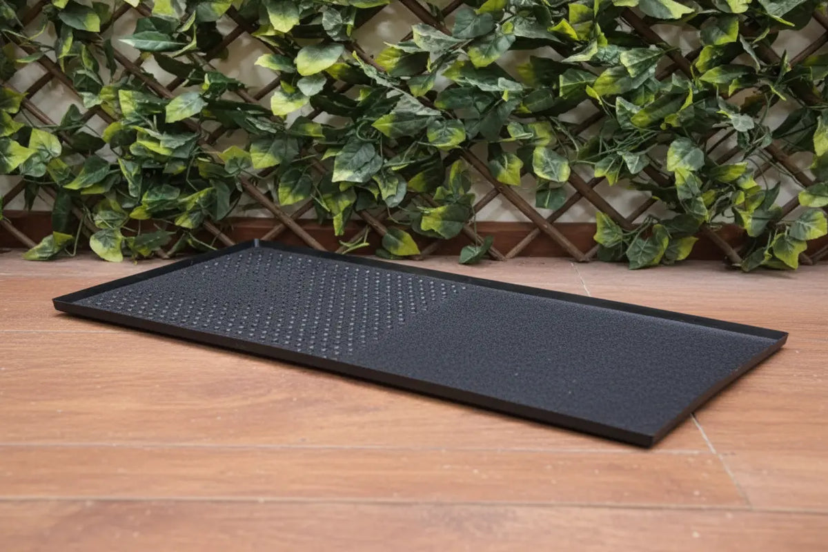 Procamp Two Burner Outdoor Griddle - Shop Griddles at Trekaline