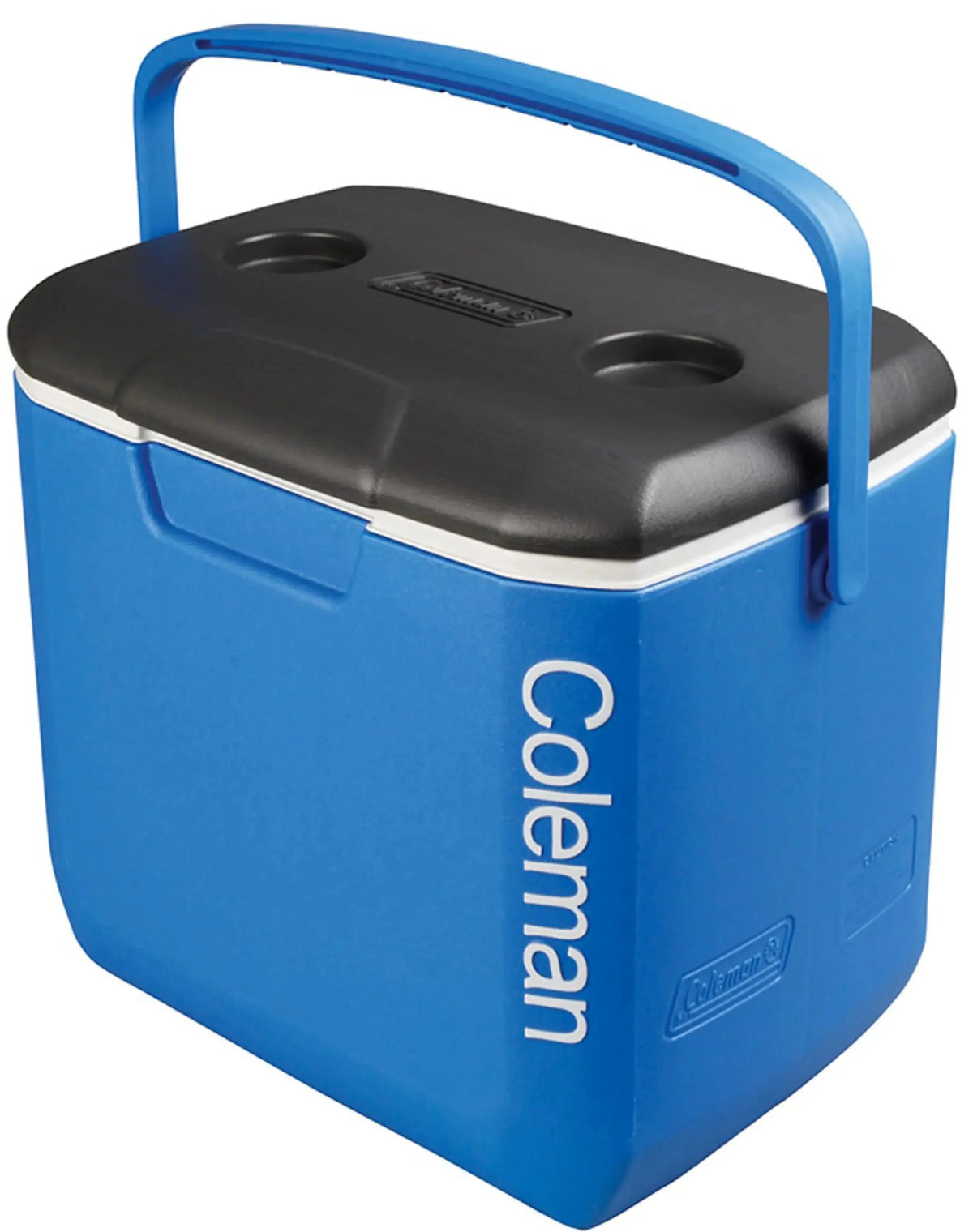 Coleman Performance Icebox Cooler 28L - Shop Hard-sided Coolers at Trekaline