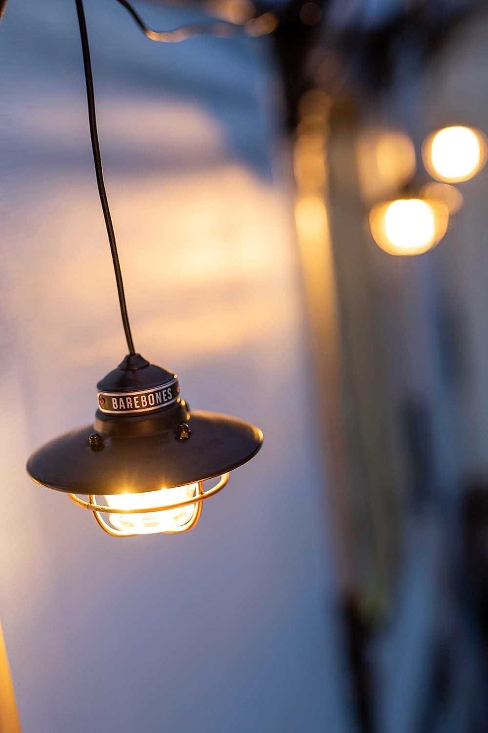 Barebones Edison Pendant Light - Shop Electric Lanterns at Trekaline