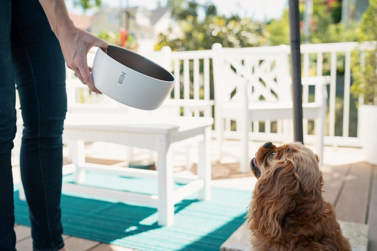 MiiR Dog Bowl 50 oz