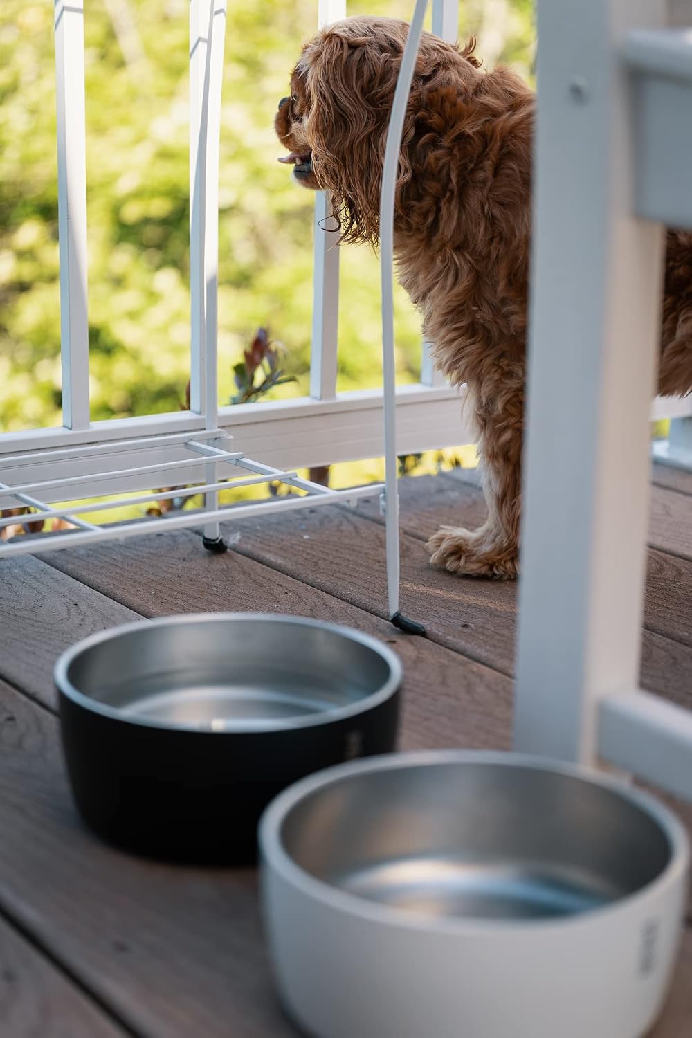 MiiR Dog Bowl 50 oz
