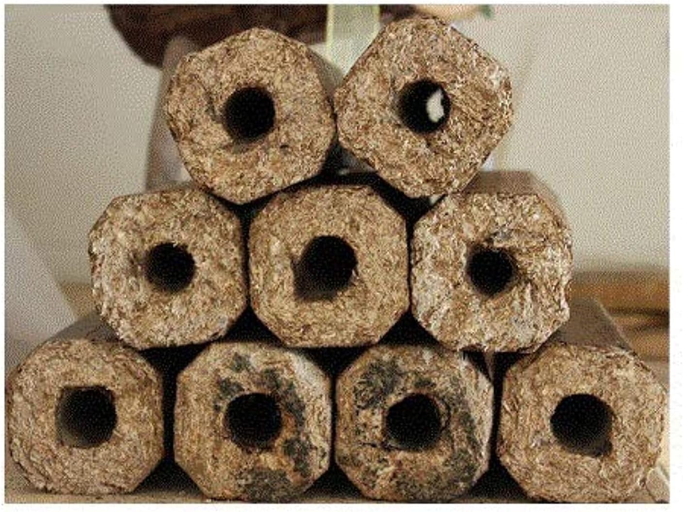Procamp Barari Sawdust Firewood Logs 10 Pcs - Shop Alternate Fuels at Trekaline