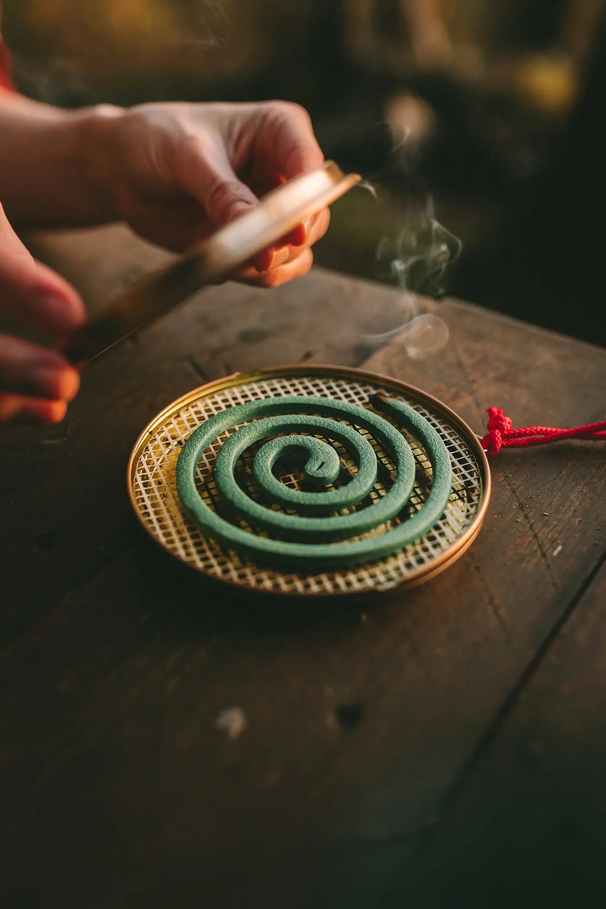 Coghlan's Hanging Mosquito Coil Holder - Shop Insect Repellent Devices at Trekaline