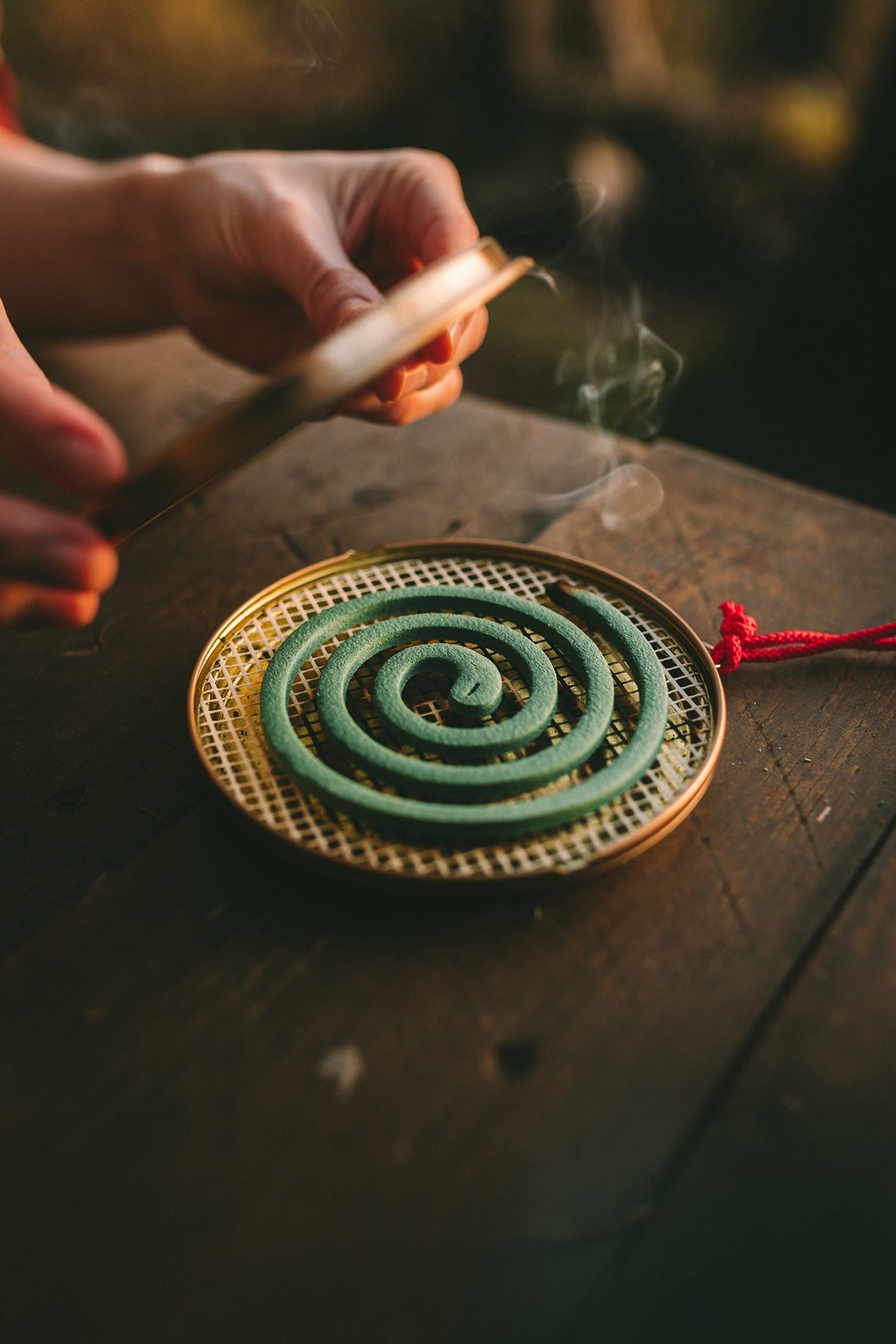 Coghlan's Hanging Mosquito Coil Holder - Shop Insect Repellent Devices at Trekaline