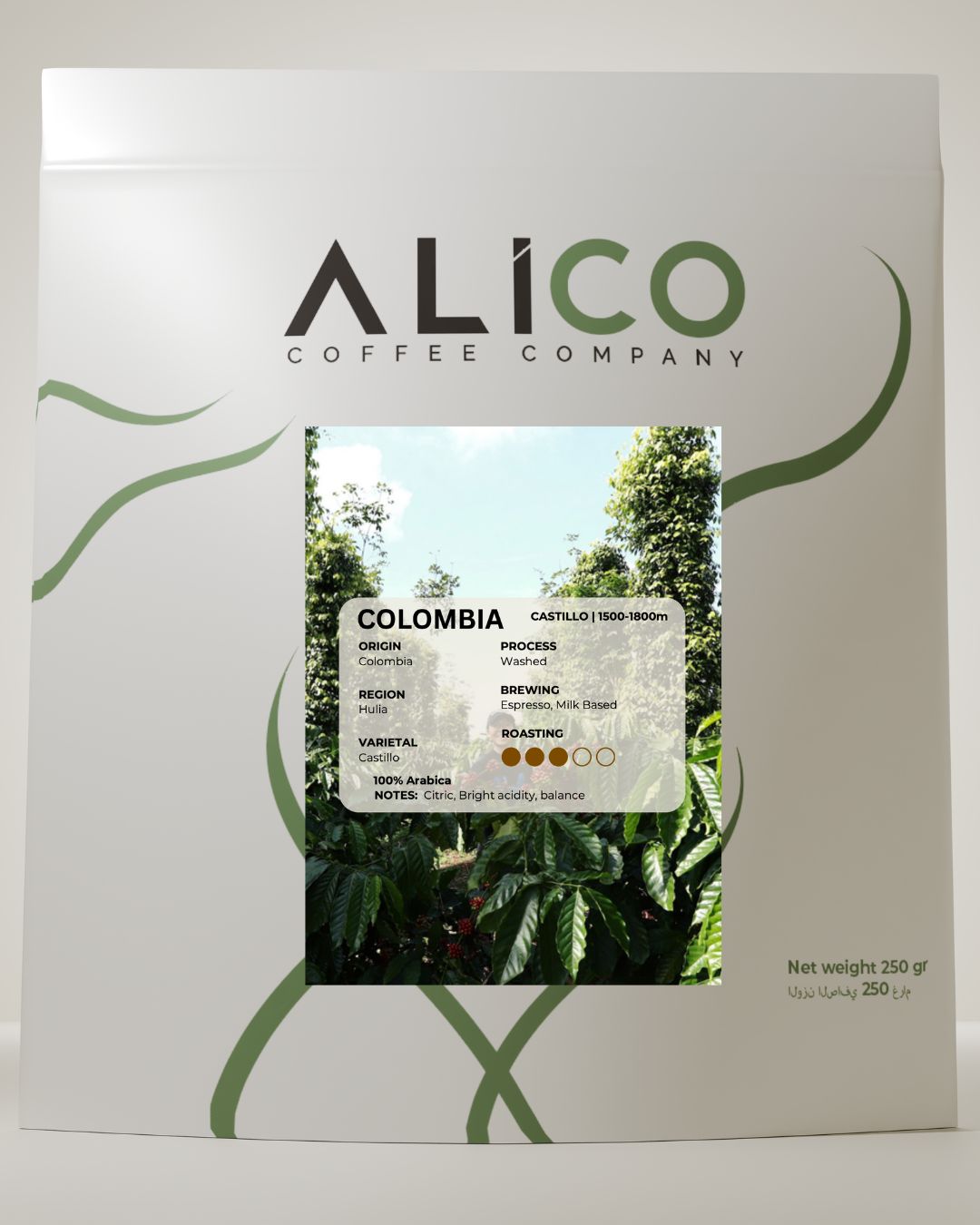 Alico Fine Roasters Colombia Castillo Coffee