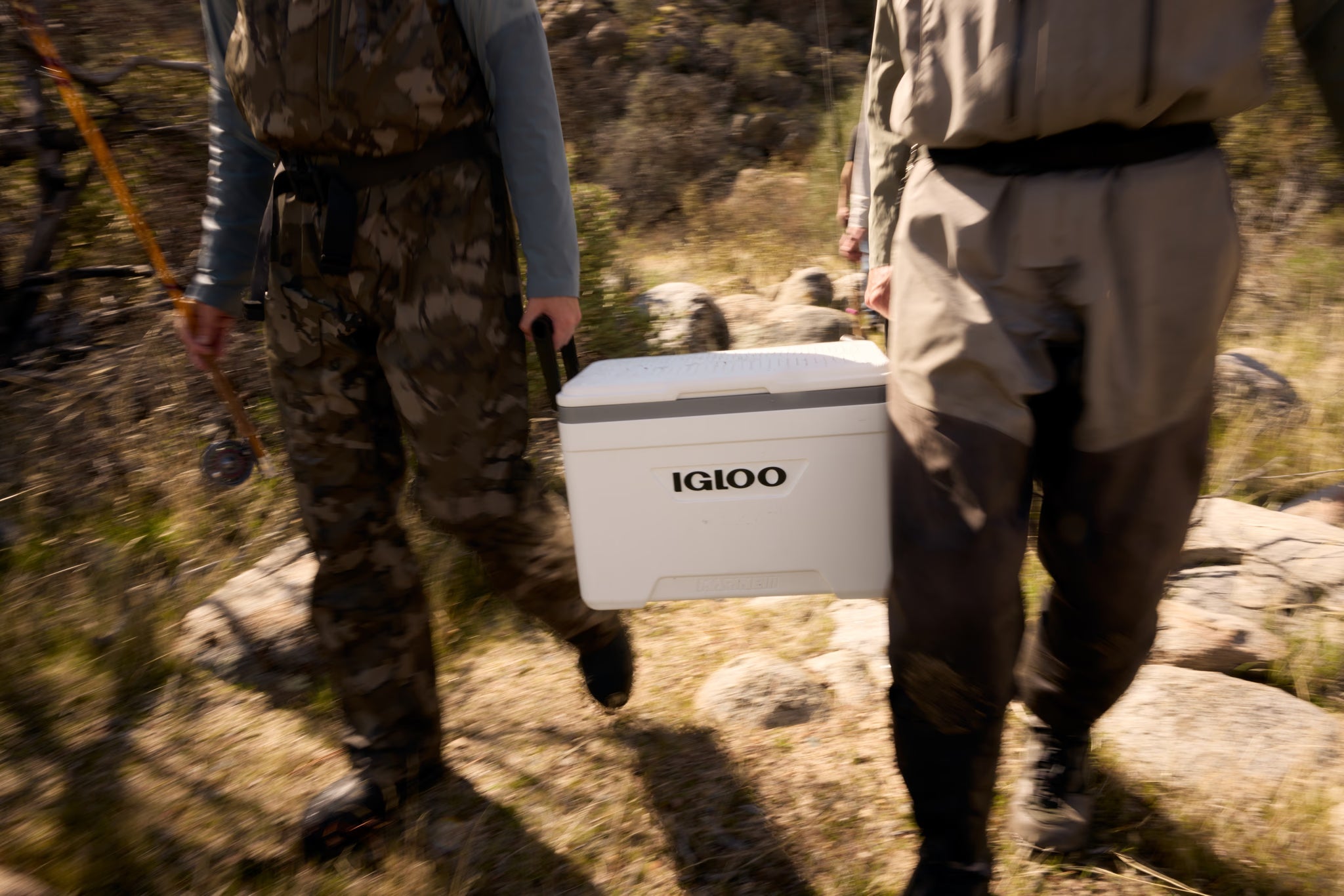 Igloo Latitude Marine Ultra Hard Cooler Box 25 Quart - Shop Hard-sided Coolers at Trekaline