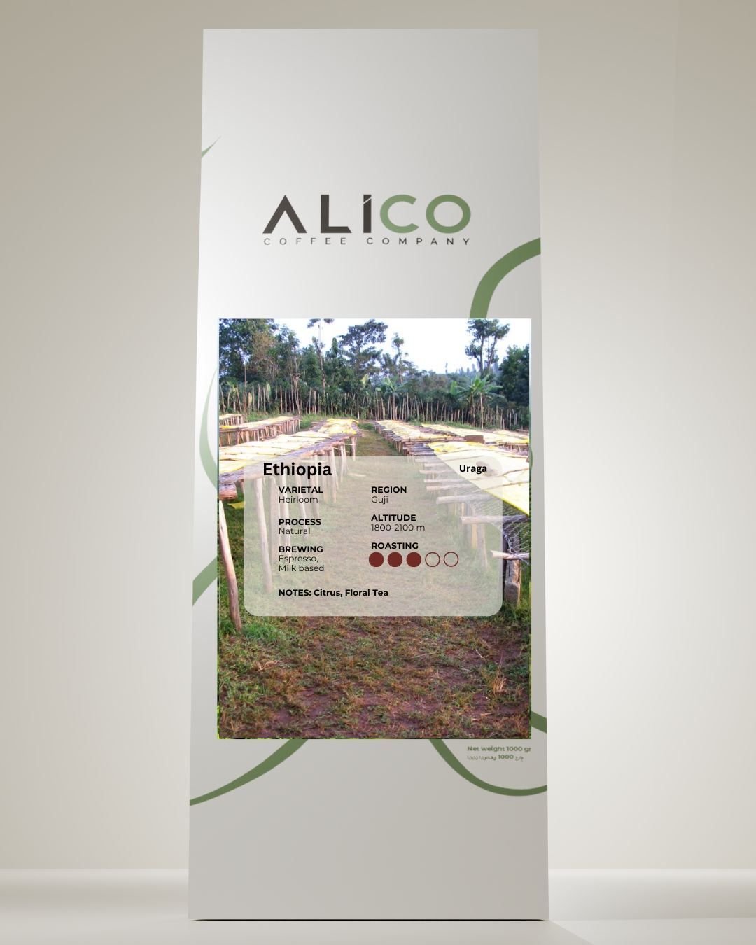 Alico Coffee Ethiopia Guji Uraga