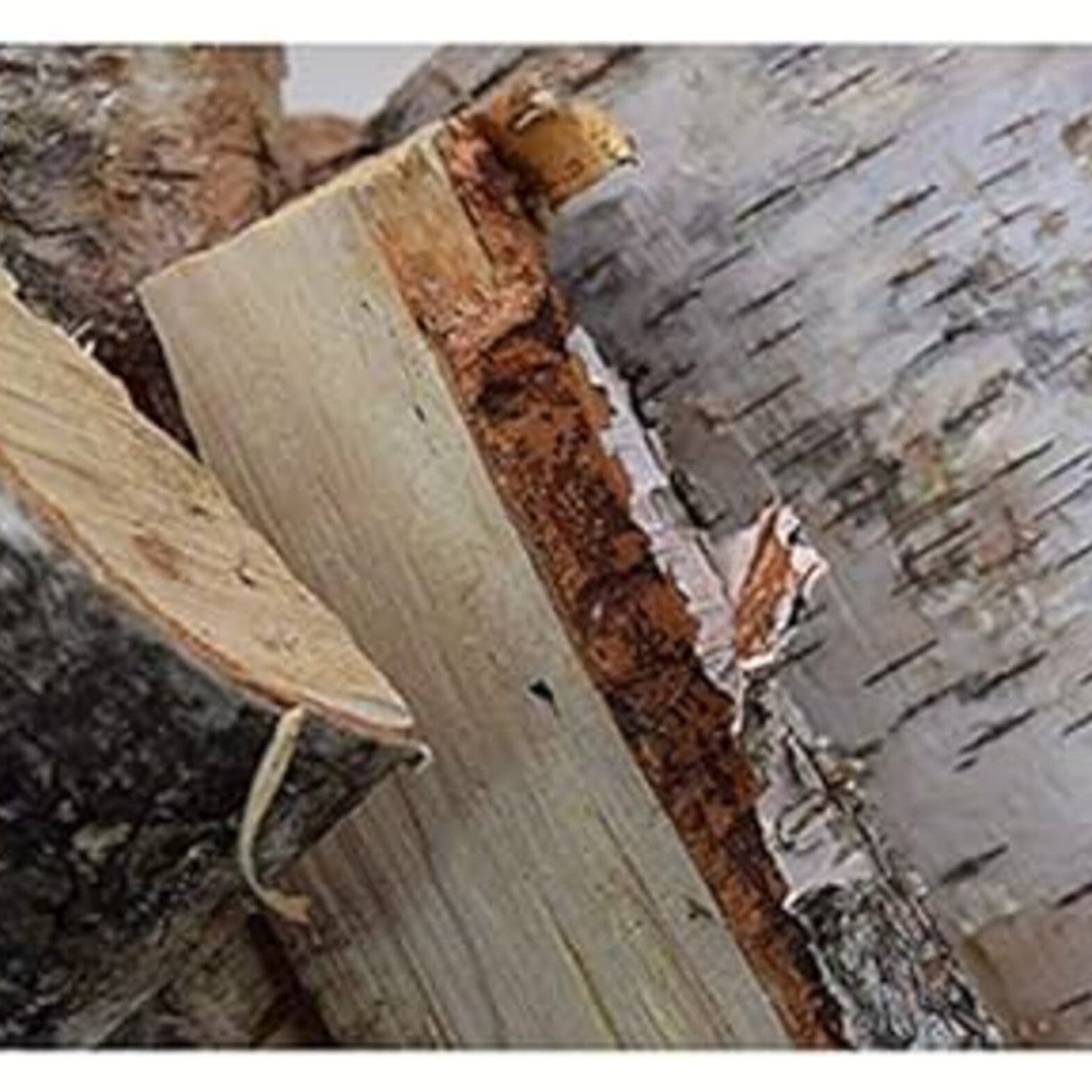 Bad Axe 21L Birch Firewood 9 Kg - Shop Alternate Fuels at Trekaline