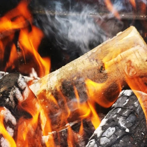 Bad Axe Birch Firewood Sack Premium Kiln Dried Logs - 40L