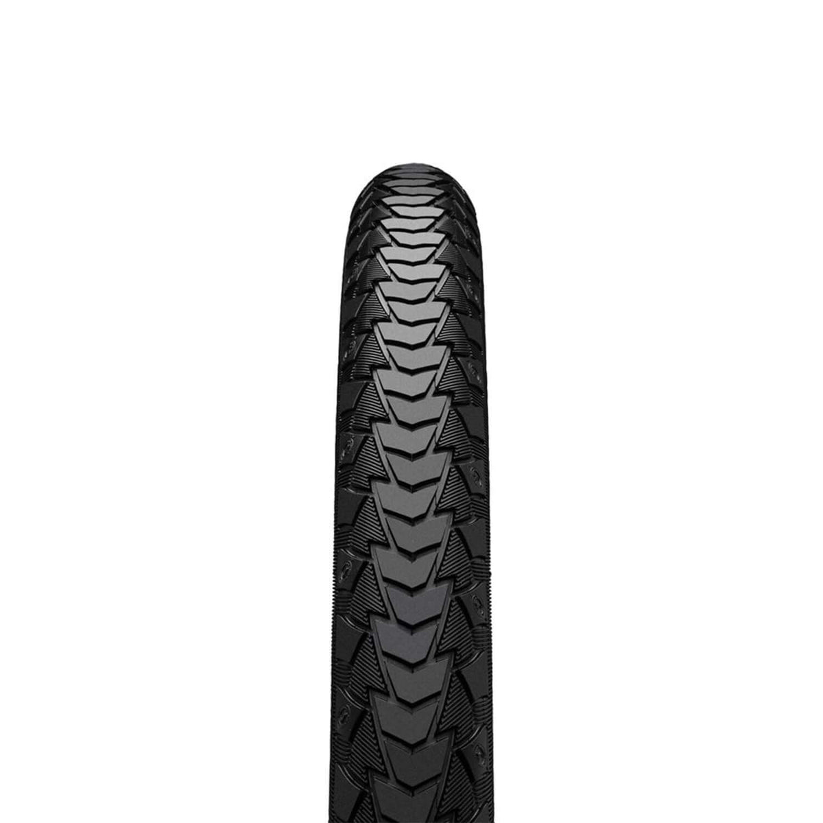 Continental Contact Plus Tires for E-Bike