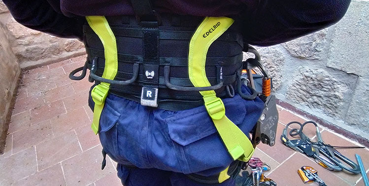 Edelrid Vector Y Climbing Harness
