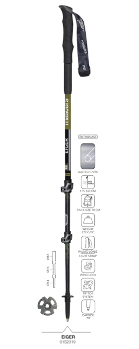 Masters Eiger Trekking Poles - Black / Green