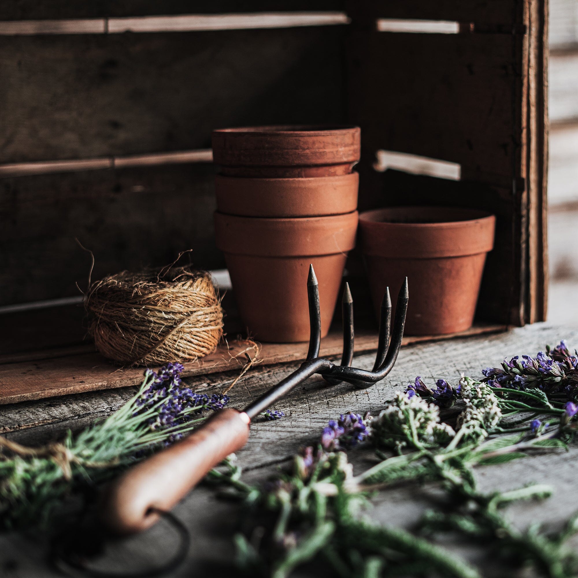 Cultivator - Shop Garden Tools at Trekaline