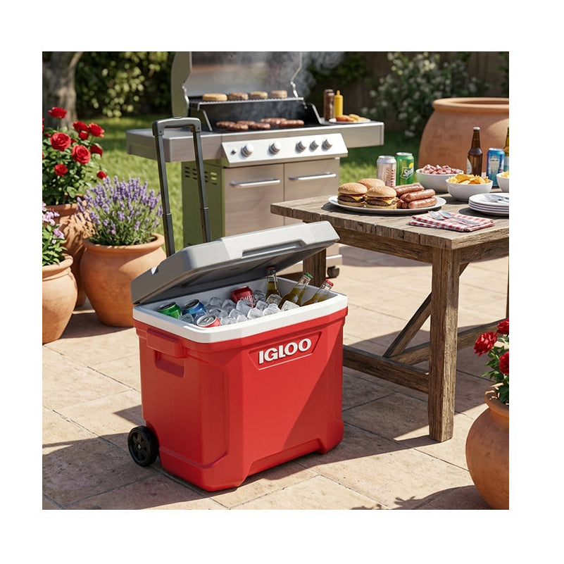 Igloo Latitude Roller Cooler 30 Quart - Shop Hard-sided Coolers at Trekaline
