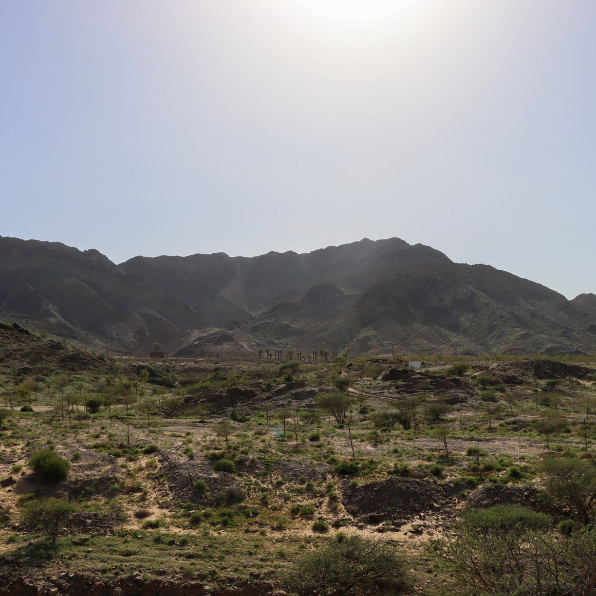 A wide outdoor landscape showing a rocky, scrub-covered plain leading up to dark mountains under a bright hazy sky.