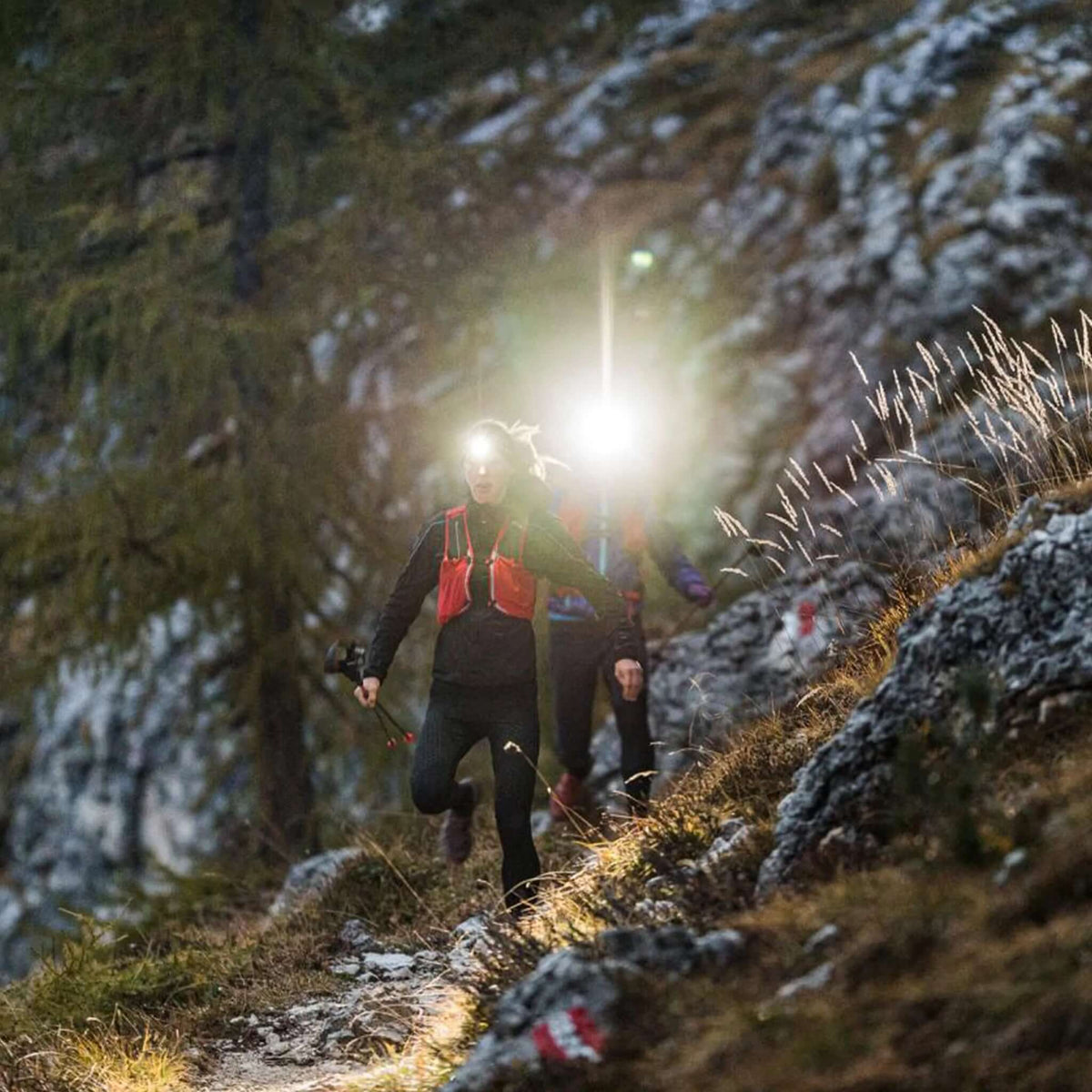 Ledlenser NEO9R Rechargeable Running Headlamp - Shop LED Headlamps at Trekaline