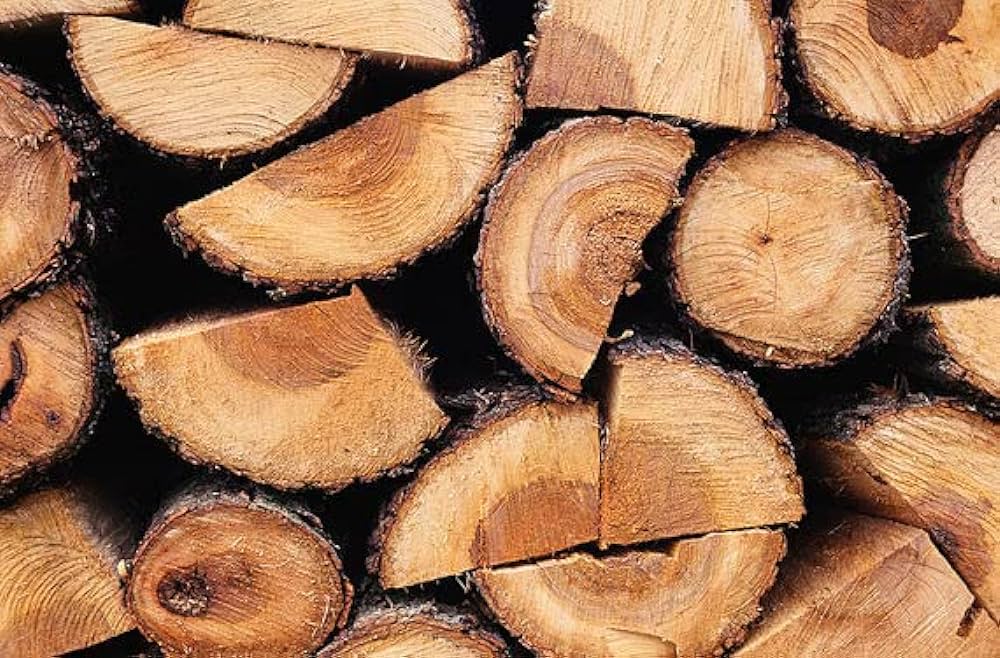 Bad Axe Oak Firewood â single log detail showing bark and growth rings.