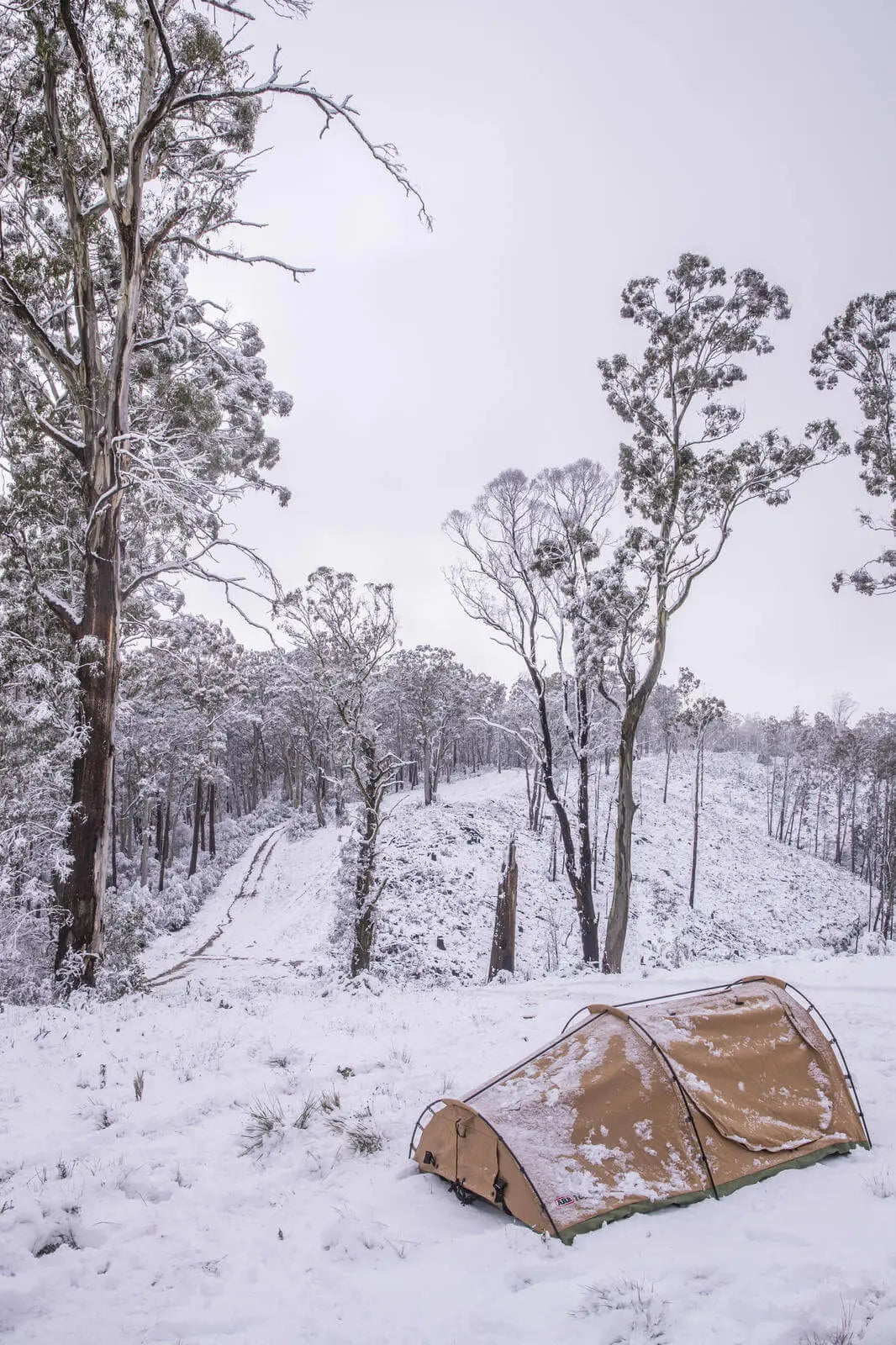 ARB Skydome Swag Double Tent - Shop Swags at Trekaline
