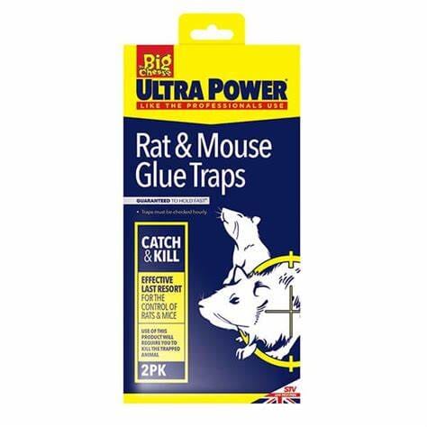 STV Big Cheese Rat and Mouse Glue Traps 2-Pack - Shop Pest Control Traps at Trekaline