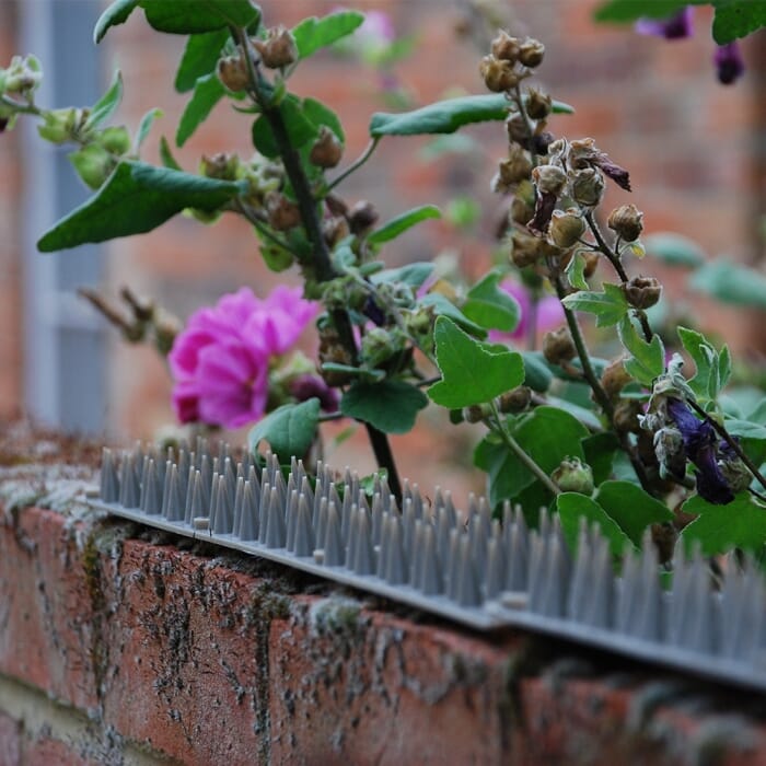 STV Big Cheese Prickle Strip Garden Fence Topper 45 cm - Shop Pest Control Products at Trekaline