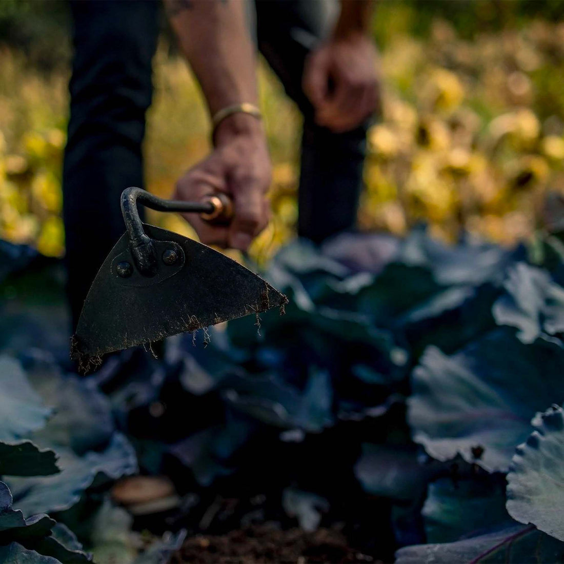 Triangle Hoe - Shop Garden Tools at Trekaline