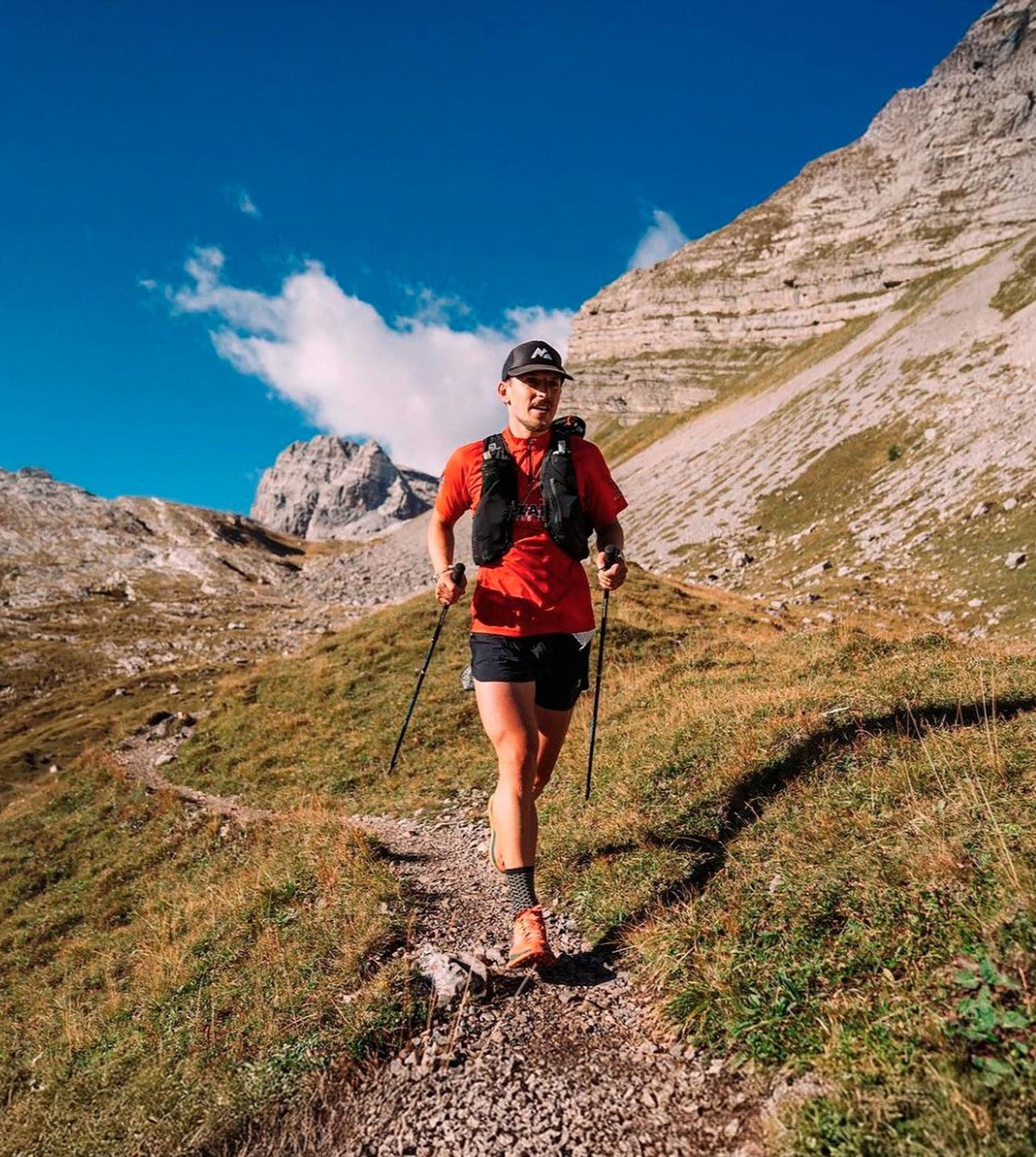 Masters Sherpa Trekking Poles - Shop Trekking Poles at Trekaline