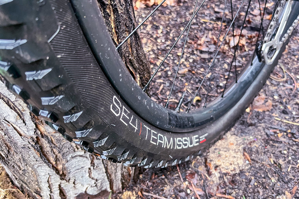 Bontrager SE4 Team Issue TLR MTB Tire - Shop Mountain Bike Tires at Trekaline