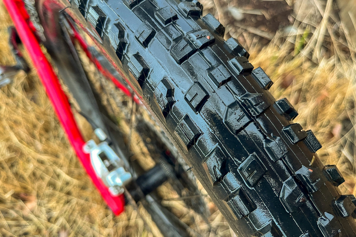 Bontrager SE4 Team Issue TLR MTB Tire - Shop Mountain Bike Tires at Trekaline
