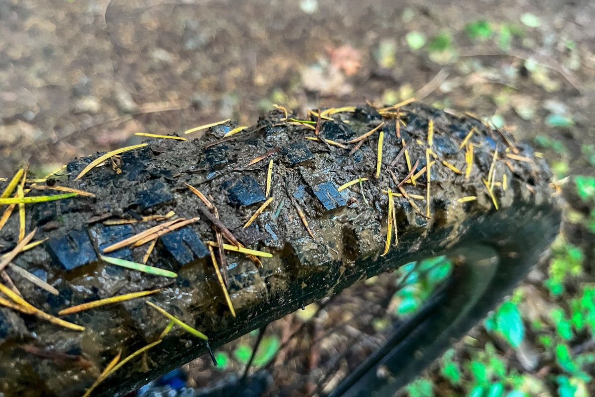 Bontrager SE4 Team Issue TLR MTB Tire - Shop Mountain Bike Tires at Trekaline