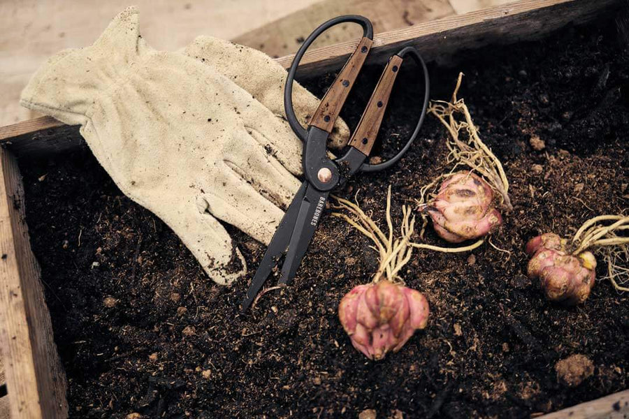 Garden Scissors - Shop Garden Tools at Trekaline