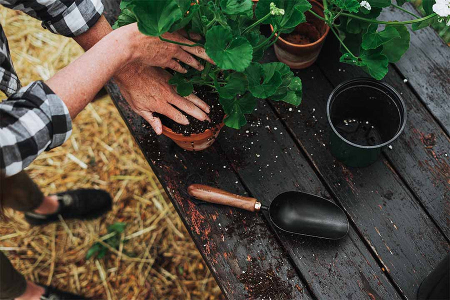 Garden Scoop - Shop Garden Tools at Trekaline