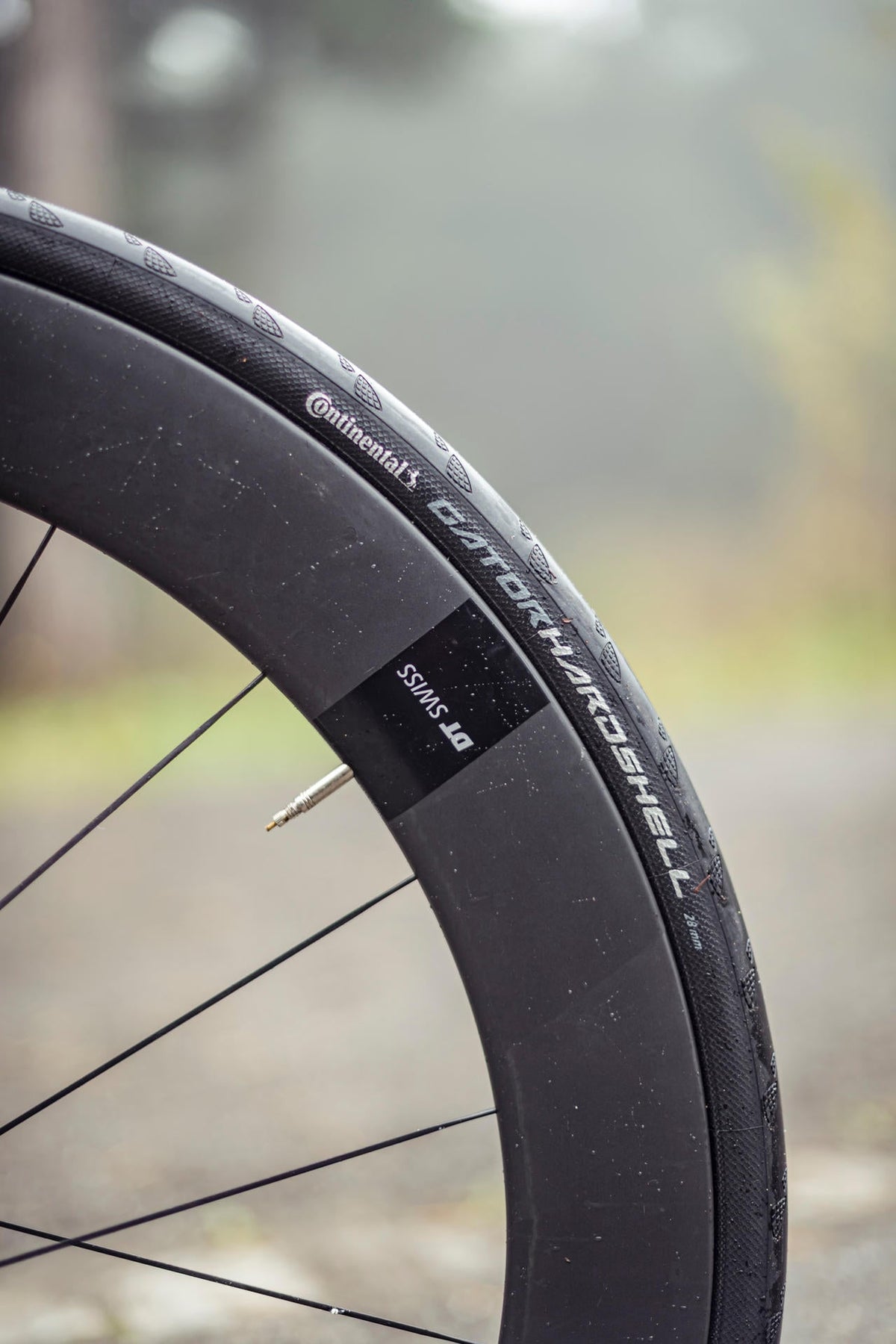 Continental Gator Hardshell Road Bike Tire - Shop Road Bike Tires at Trekaline