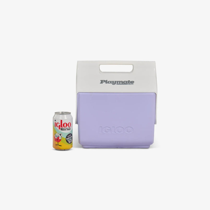 Igloo Playmate Elite Ultra Cooler Box 16 Quart - Shop Hard-sided Coolers at Trekaline