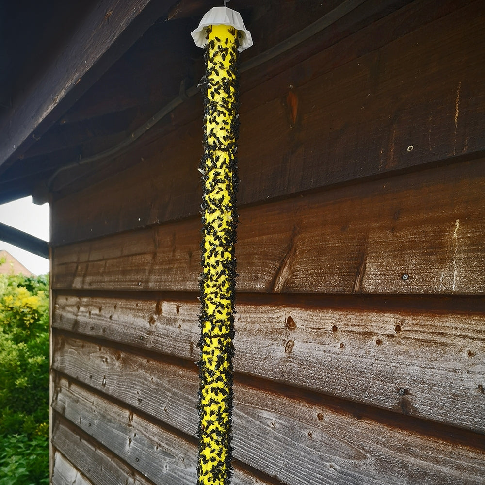 STV Zero In XL Fly Stick Trap 60 cm