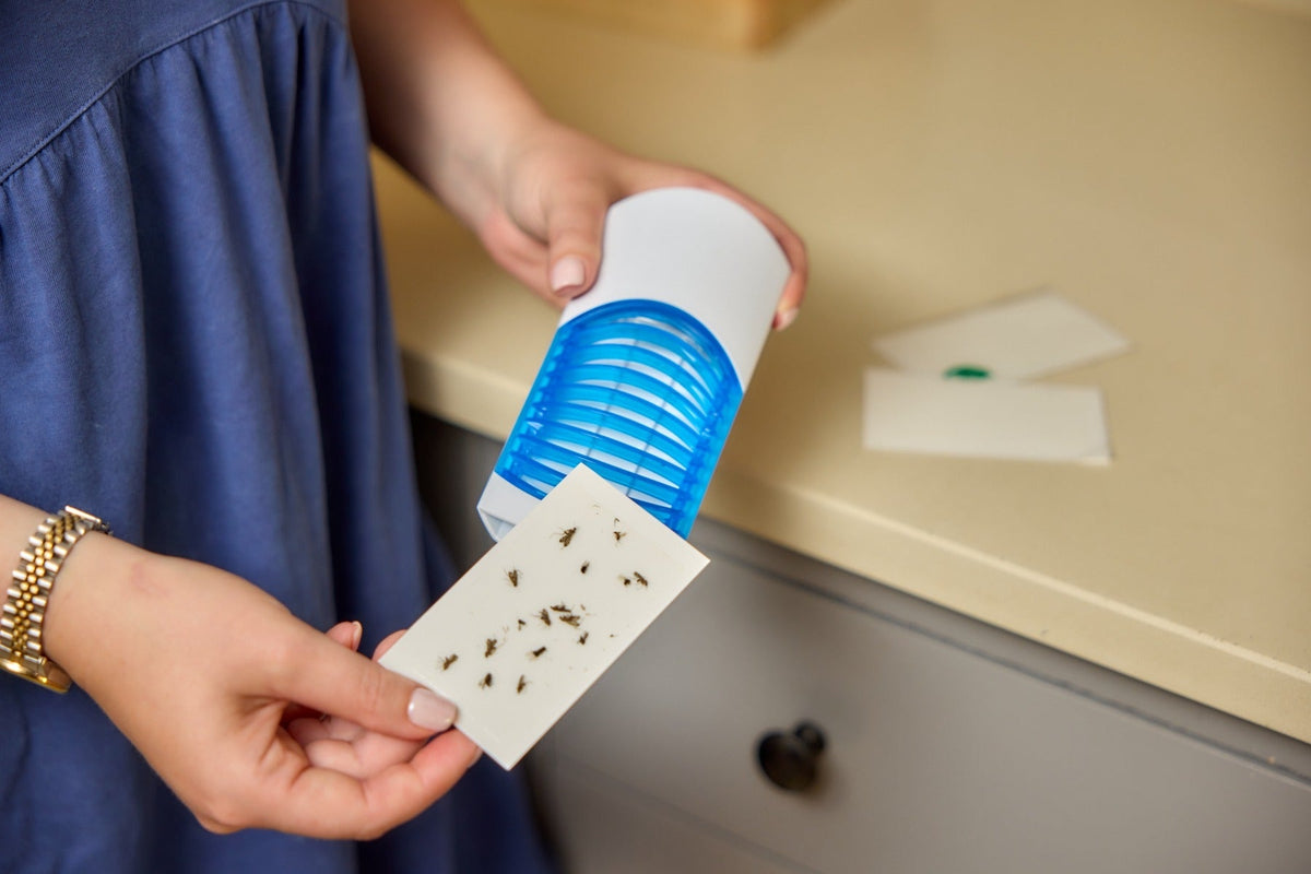 STV Zero In Night Time Insect Killer - Shop Pest Control Products at Trekaline
