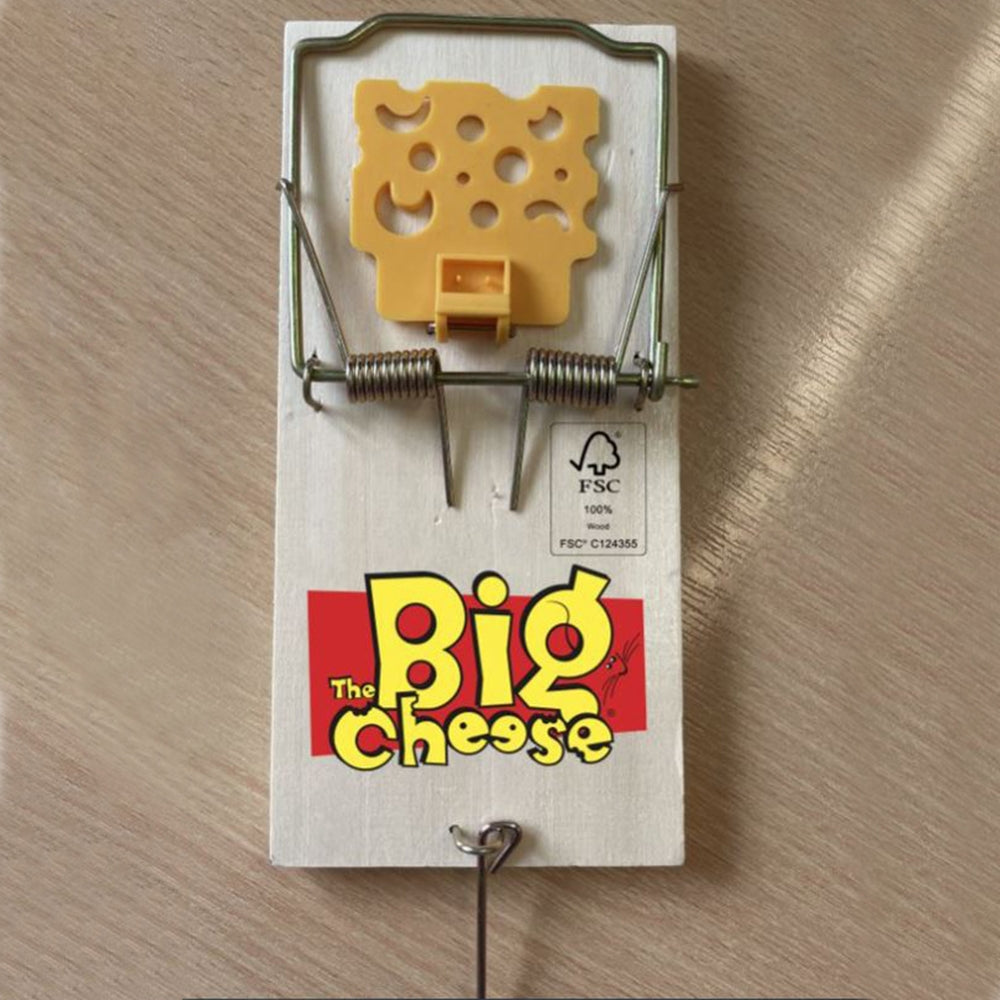 STV Big Cheese Pedal Bait Ready Mouse Trap 2-Pack - Shop Pest Control Traps at Trekaline