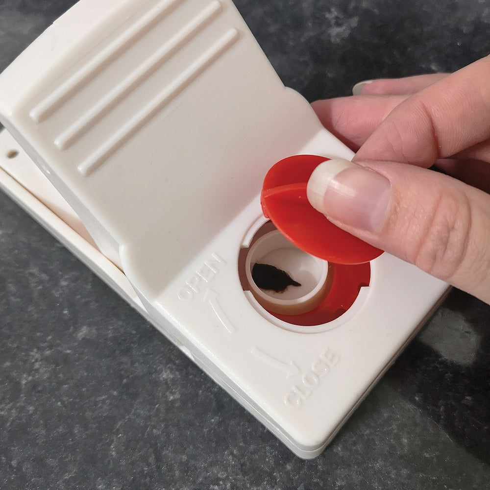 STV Big Cheese Ultra Power Ready-Baited Rat Trap 2-Pack