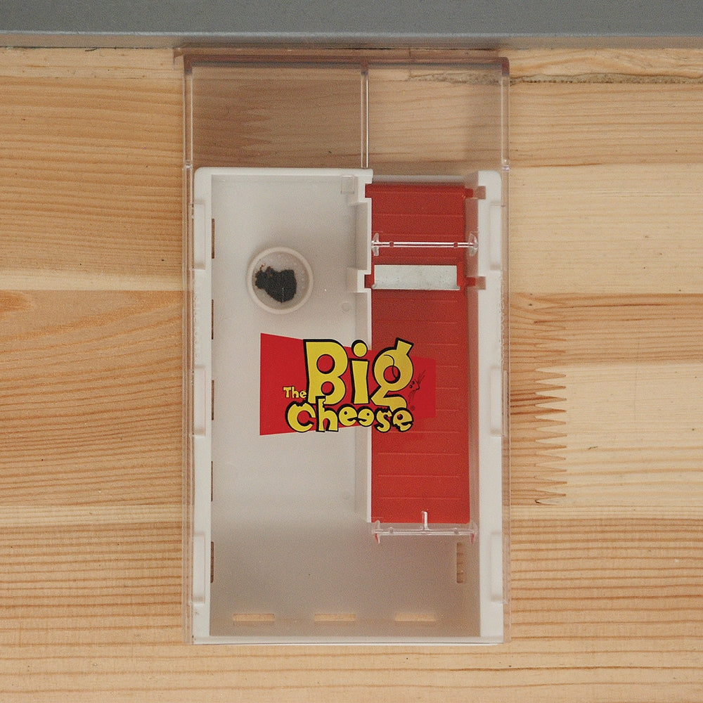 STV Big Cheese Live Multi-Catch Mouse Trap