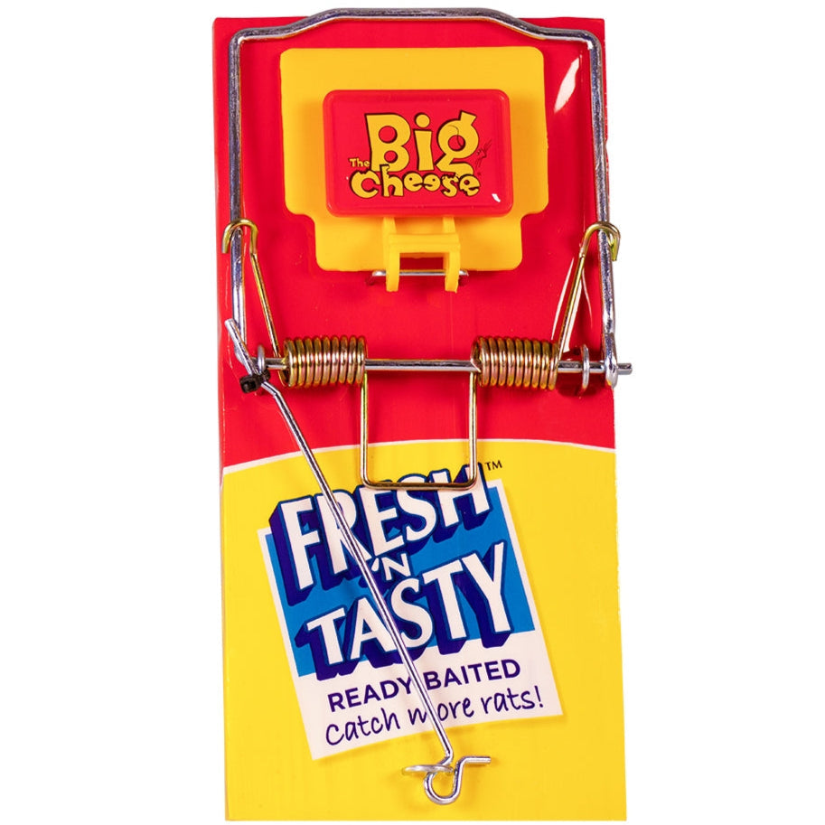 STV Big Cheese Fresh Baited Rat Trap